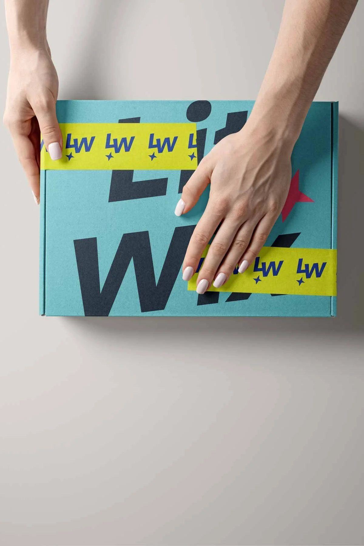 Lit Wix project image
